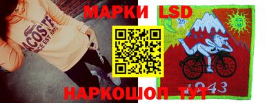 индика Лесосибирск