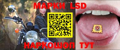 индика Лесосибирск