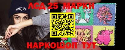 индика Лесосибирск