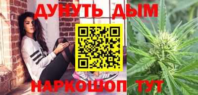 индика Лесосибирск