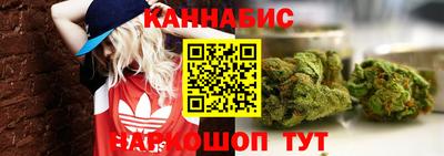 индика Лесосибирск
