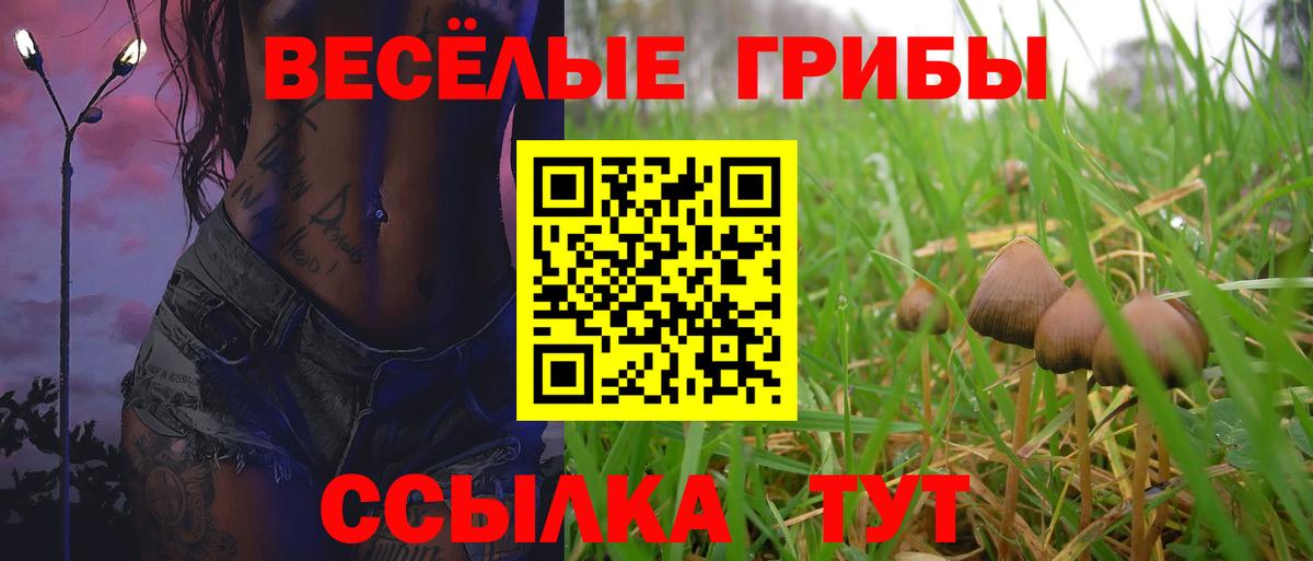 где купить   Галлюциногенные грибы Psilocybine cubensis  Вход с VPN  Псилоцибиновые грибы прущие грибы  Домодедово 