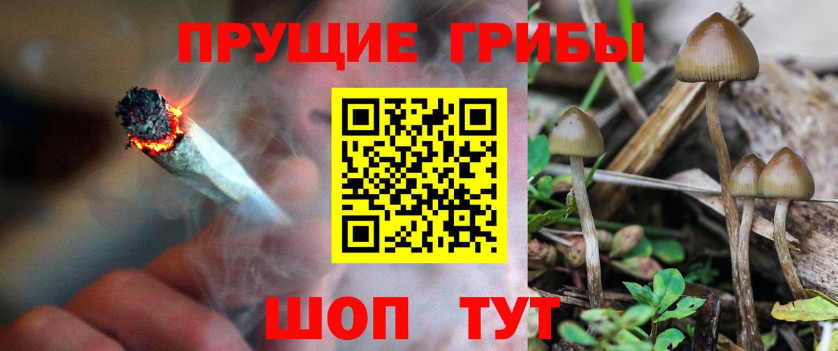 Псилоцибиновые грибы MAGIC MUSHROOMS Домодедово